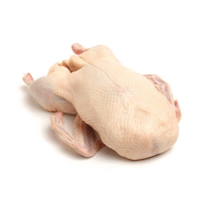 Fz Duck VCS whole