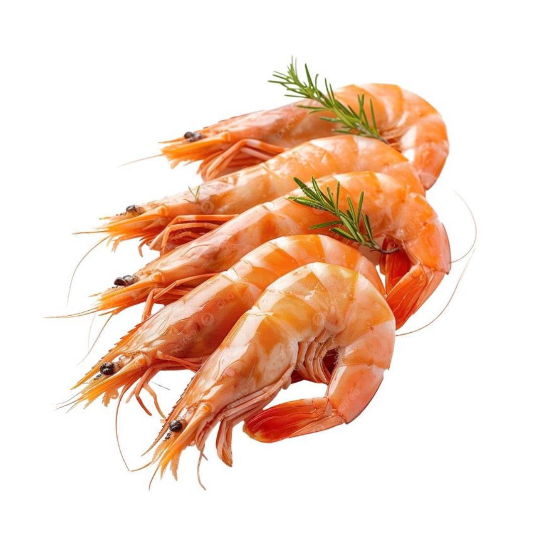 IQF SHRIMP