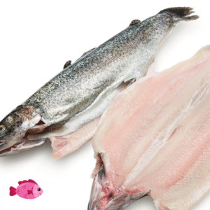 Rainbow Trout Fish