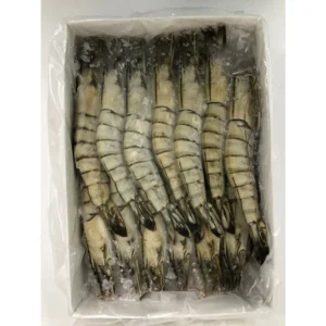 Block Prawn 13/15
